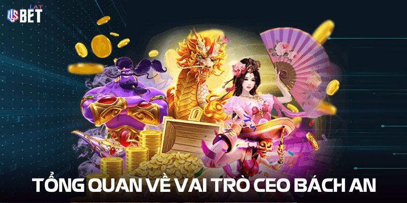 Bách An Tổng quan về vai trò CEO Bách An